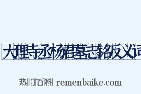 大理寺丞杨君墓志铭反义词是什么意思的图片